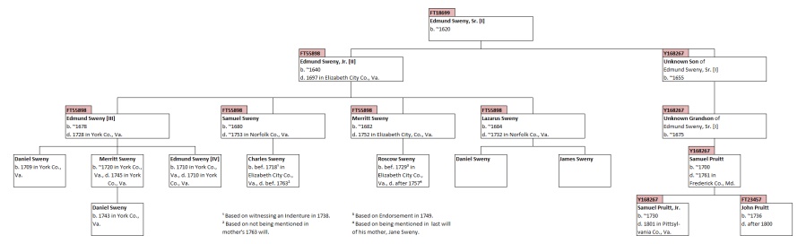 Edmund Sweny Family Tree Based on Haplogroup Branching