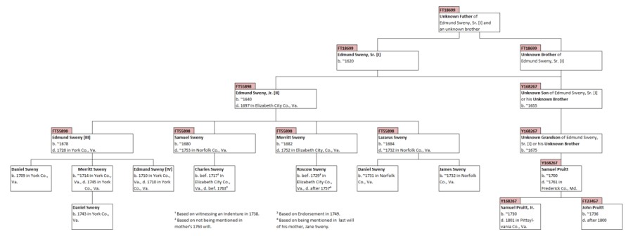 Edmund Sweny Family Tree Based on Haplogroup Branching